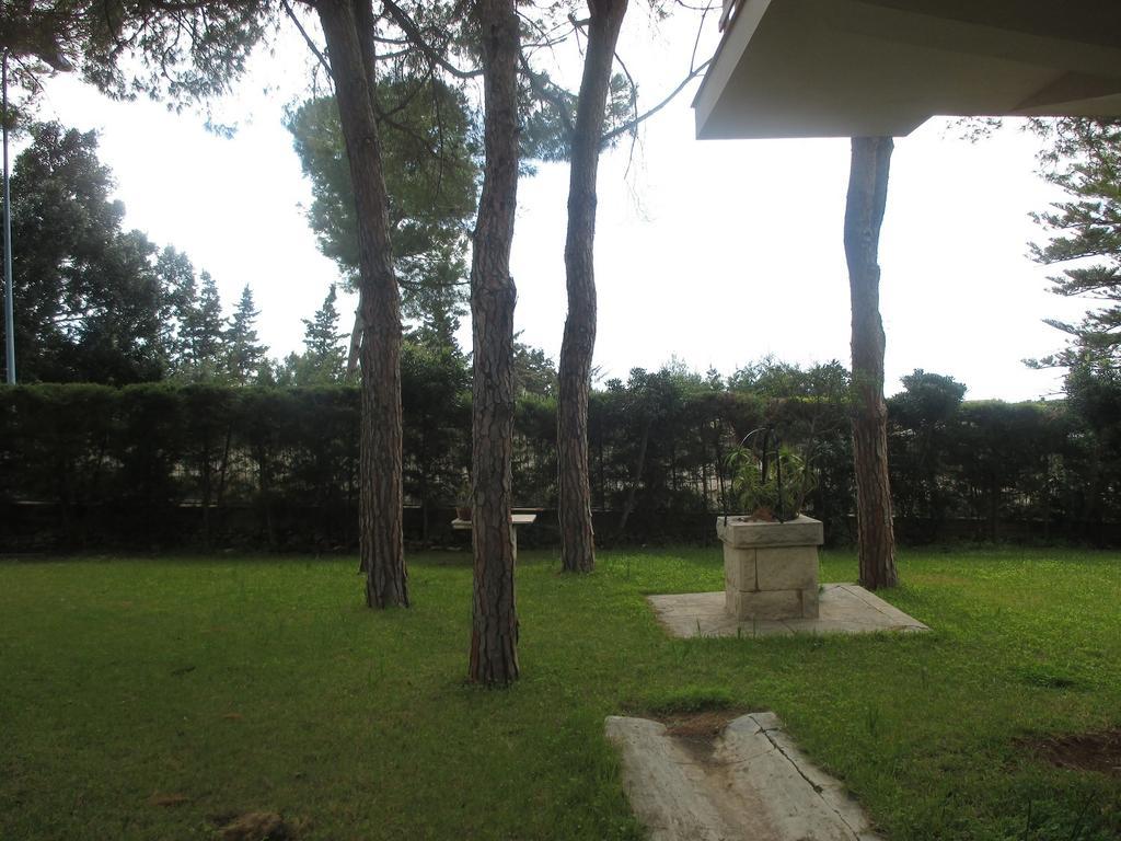 Orizzonte Mare Villa Fontane Bianche Rom bilde