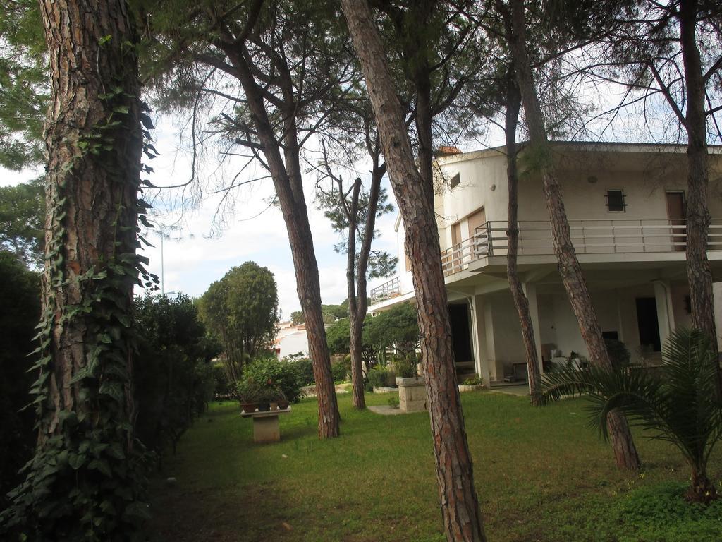 Orizzonte Mare Villa Fontane Bianche Rom bilde